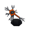 Model Neuron 3D – Structură Celulă Nervoasă cu Suport